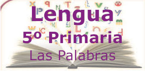 Las palabras en 5º de primaria